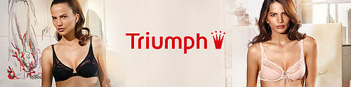 Triumph banner.jpg