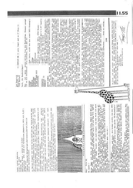 File:Rundschlag 11 Page 55.jpg