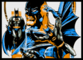 Thumbnail for version as of 16:46, 19 May 2025