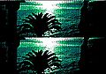 Thumbnail for version as of 11:46, 22 November 2006