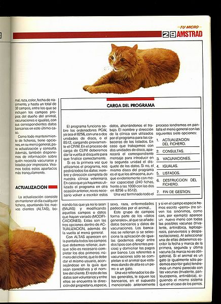 File:Tu Micro Amstrad 08 - Pag 29.jpg