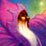 Druid