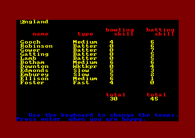 Cricket International for the Amstrad CPC