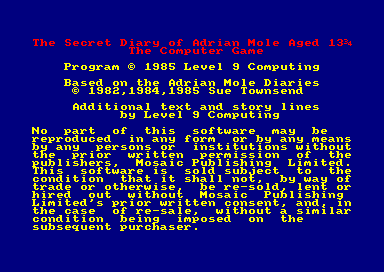 Secret Diary of Adrian Mole for the Amstrad CPC