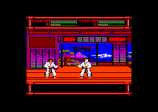 Budokan for the Amstrad CPC