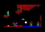 Camelot Warriors for the Amstrad CPC