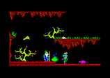 Camelot Warriors for the Amstrad CPC