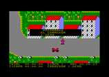 Campeones for the Amstrad CPC