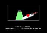 Cricket Crazy by Alternative Software