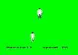 Cricket International for the Amstrad CPC