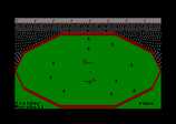 Cricket International for the Amstrad CPC