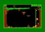 Croc Madam for the Amstrad CPC