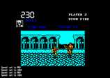 Double Dragon 3 : The Rosetta Stone for the Amstrad CPC