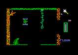 Elidon for the Amstrad CPC