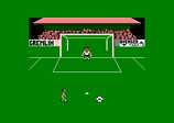 Footballer of the Year for the Amstrad CPC