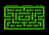 Haunted Hedges for the Amstrad CPC