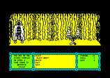 Heavy on the Magick for the Amstrad CPC