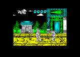 International Ninja Rabbits for the Amstrad CPC