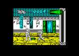 International Ninja Rabbits for the Amstrad CPC