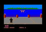 Ninja for the Amstrad CPC