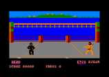 Ninja for the Amstrad CPC