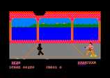 Ninja for the Amstrad CPC