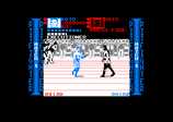Pit-Fighter for the Amstrad CPC