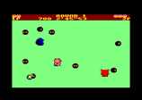 Psycho Pigs UXB for the Amstrad CPC