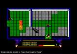 Real Stunt Experts : The for the Amstrad CPC