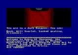 Robin of Sherwood by Adventure International