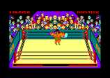 Rock n Wrestle by Melbourne House