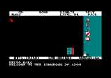 Rogue for the Amstrad CPC