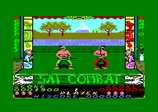 Sai Combat for the Amstrad CPC