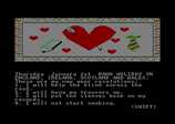 Secret Diary of Adrian Mole for the Amstrad CPC