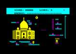 Shorts Fuse for the Amstrad CPC