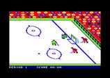 Slapshot for the Amstrad CPC