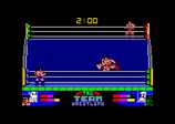 Tag Team Wrestling for the Amstrad CPC