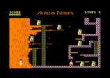 Tales of the Arabian Nights for the Amstrad CPC