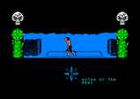 Tir-na-nog for the Amstrad CPC
