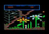 Traitement Bzzz for the Amstrad CPC