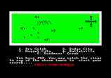 Wild Bunch : The for the Amstrad CPC