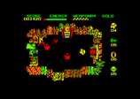 Wizards Lair for the Amstrad CPC