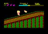 Wonder Boy for the Amstrad CPC