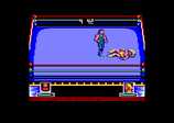 WWF Wrestlemania for the Amstrad CPC